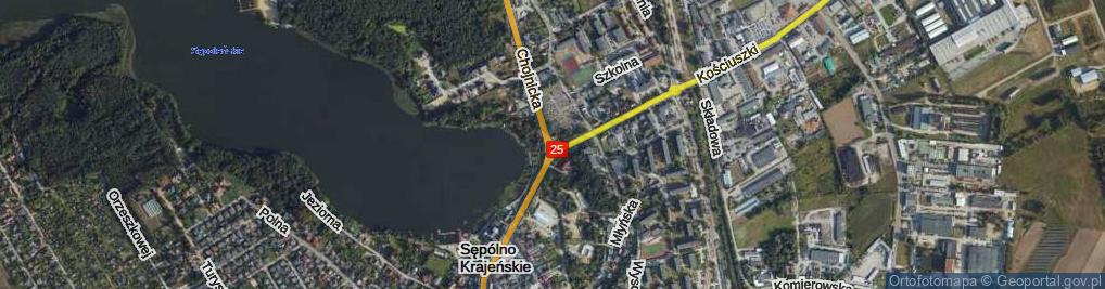 Zdjęcie satelitarne Rondo Grudzińskiego Emanuela, ks. rondo.